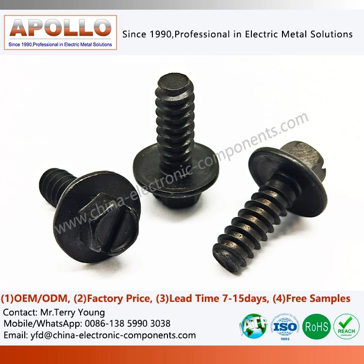 Flanged Screw with Hexagonal Head